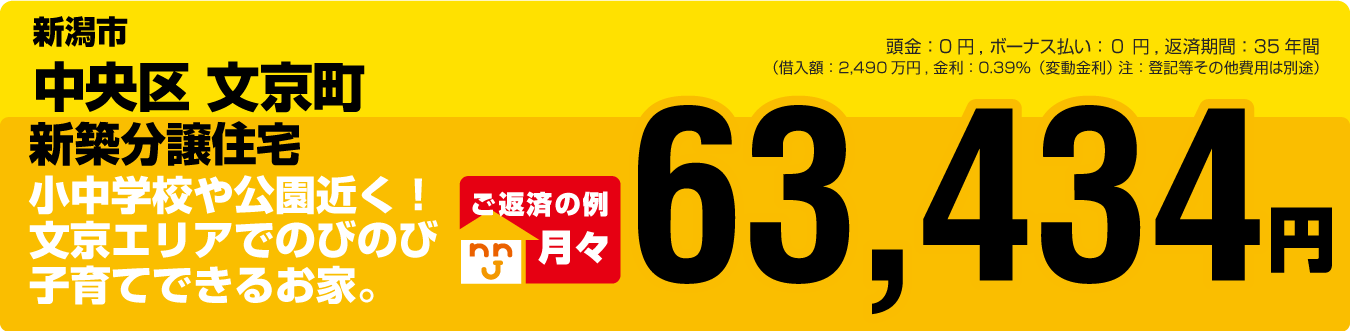 新潟市 中央区文京町 建売