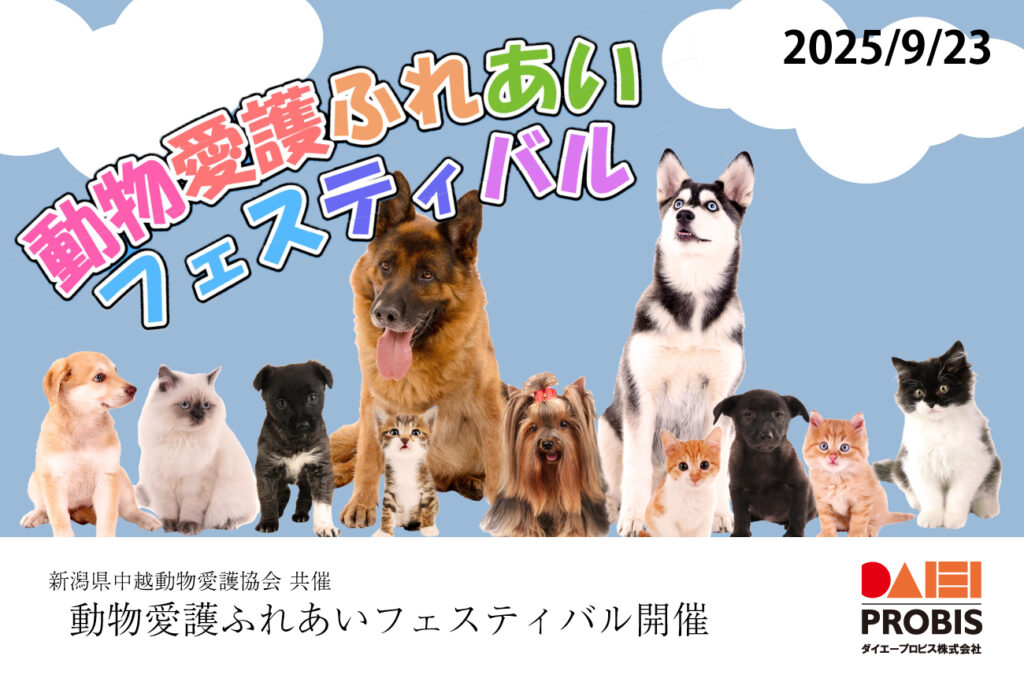 ダイエープロビス