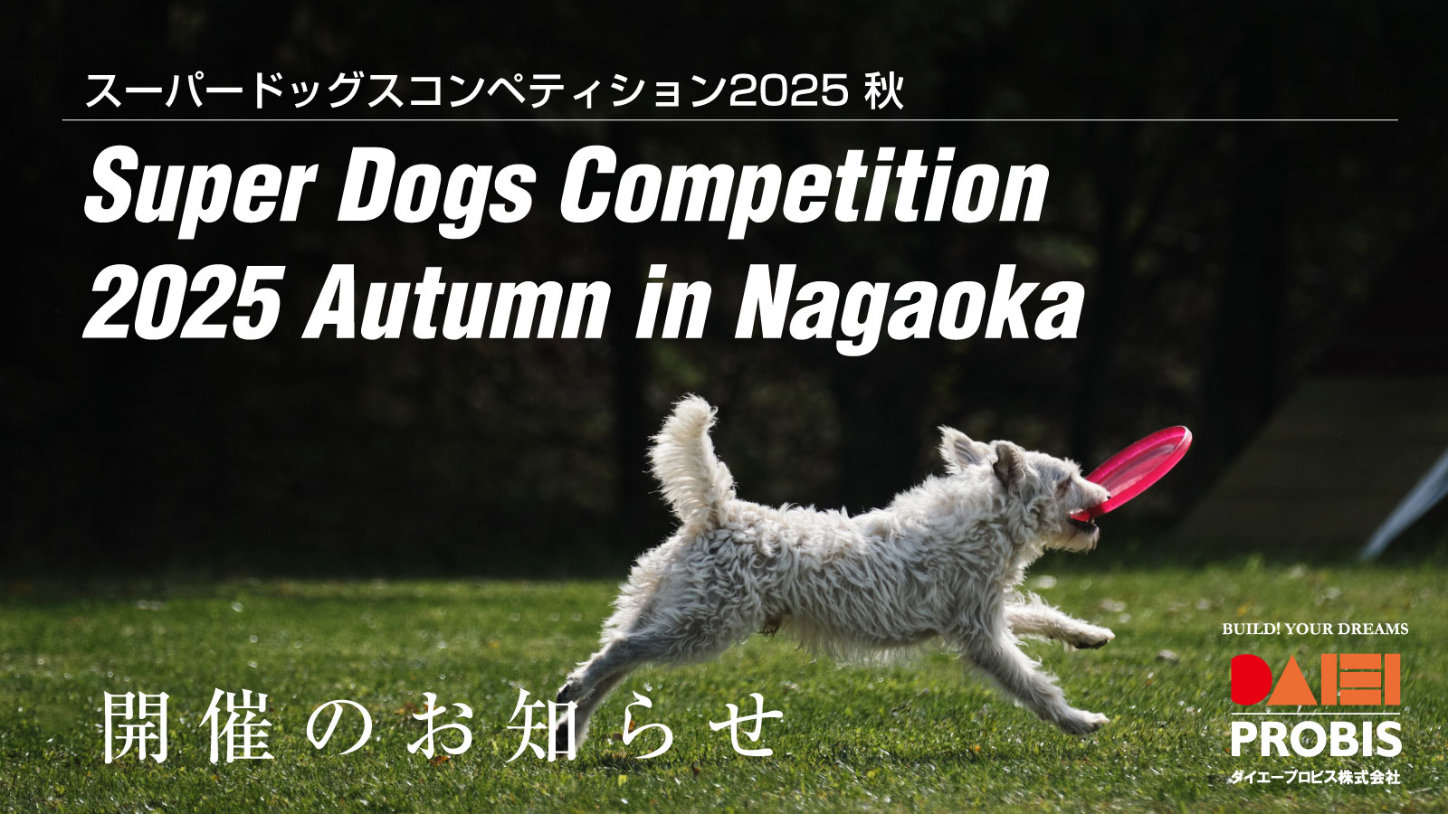 スーパードッグスコンペティション2025秋 開催のお知らせ | ダイエー